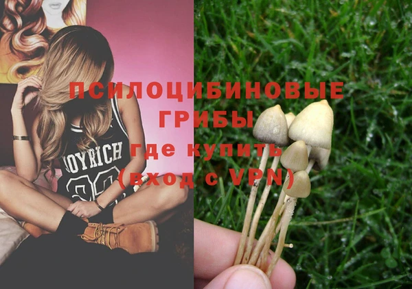 сатива Бугульма