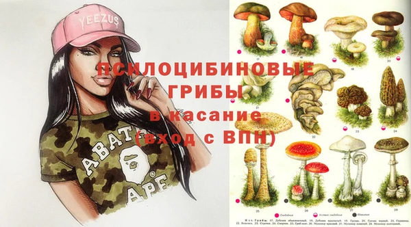 соль ск Бронницы