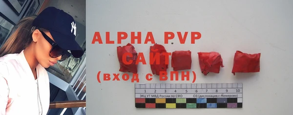 сатива Бугульма