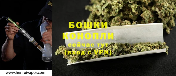 сатива Бугульма